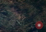 Image of Blue Angels flight demonstration Paris France, 1967, second 39 stock footage video 65675080236