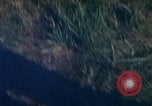 Image of Blue Angels flight demonstration Paris France, 1967, second 55 stock footage video 65675080236