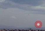 Image of Blue Angels show Naples Italy Naples Italy, 1967, second 31 stock footage video 65675080238