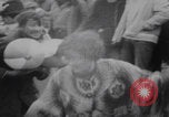 Image of Hippies New York Central Park New York City USA, 1970, second 6 stock footage video 65675080246