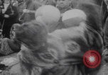 Image of Hippies New York Central Park New York City USA, 1970, second 8 stock footage video 65675080246
