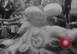 Image of Hippies New York Central Park New York City USA, 1970, second 9 stock footage video 65675080246