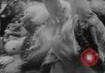 Image of Hippies New York Central Park New York City USA, 1970, second 10 stock footage video 65675080246
