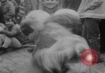 Image of Hippies New York Central Park New York City USA, 1970, second 12 stock footage video 65675080246