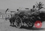Image of Western youth volunteers India, 1969, second 9 stock footage video 65675080247