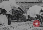 Image of Western youth volunteers India, 1969, second 53 stock footage video 65675080247