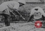 Image of Western youth volunteers India, 1969, second 54 stock footage video 65675080247