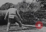 Image of Western youth volunteers India, 1969, second 56 stock footage video 65675080247