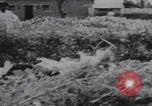 Image of Western youth volunteers India, 1969, second 60 stock footage video 65675080247