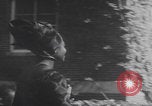 Image of University of North Carolina  Chapel Hill North Carolina USA, 1967, second 22 stock footage video 65675080252