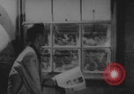 Image of Upshot-Knothole Annie nuclear test Nye County Nevada USA, 1953, second 46 stock footage video 65675080261