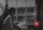 Image of Upshot-Knothole Annie nuclear test Nye County Nevada USA, 1953, second 48 stock footage video 65675080261