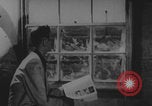 Standbild Atomtests der Operation Doorstep Nye County Nevada USA, 1953, aus Sekunde 44 historischem Filmmaterial Videoclip 65675080264