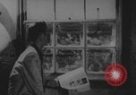 Standbild Atomtests der Operation Doorstep Nye County Nevada USA, 1953, aus Sekunde 45 historischem Filmmaterial Videoclip 65675080264