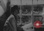 Standbild Atomtests der Operation Doorstep Nye County Nevada USA, 1953, aus Sekunde 48 historischem Filmmaterial Videoclip 65675080264