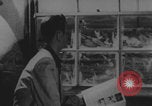 Standbild Atomtests der Operation Doorstep Nye County Nevada USA, 1953, aus Sekunde 49 historischem Filmmaterial Videoclip 65675080264