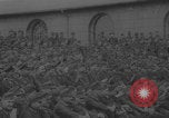 Standbild Demonstration deutscher Judokas Dresden Deutschland, 1942, aus Sekunde 61 historischem Filmmaterial Videoclip 65675080267