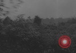 Image of German artillery crew barrage Western Front European Theater, 1944, second 16 stock footage video 65675080268