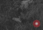 Image of German artillery crew barrage Western Front European Theater, 1944, second 36 stock footage video 65675080268