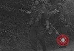 Image of German artillery crew barrage Western Front European Theater, 1944, second 43 stock footage video 65675080268