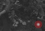 Image of German artillery crew barrage Western Front European Theater, 1944, second 45 stock footage video 65675080268