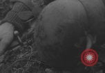 Image of German artillery crew barrage Western Front European Theater, 1944, second 62 stock footage video 65675080268