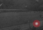 Image of German troops capture Chetnik guerrillas Yugoslavia, 1944, second 17 stock footage video 65675080270
