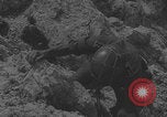 Image of German troops capture Chetnik guerrillas Yugoslavia, 1944, second 34 stock footage video 65675080270