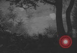 Image of German troops capture Chetnik guerrillas Yugoslavia, 1944, second 50 stock footage video 65675080270