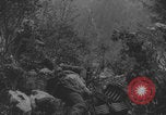 Image of German troops capture Chetnik guerrillas Yugoslavia, 1944, second 54 stock footage video 65675080270