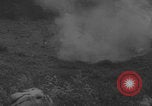 Image of German troops capture Chetnik guerrillas Yugoslavia, 1944, second 60 stock footage video 65675080270