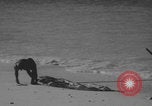 Image of Bikini Atoll natives evacuation Bikini Atoll Marshal Islands, 1946, second 41 stock footage video 65675080275