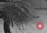 Image of Operation Crossroads Bikini Atoll Bikini Atoll Marshal Islands, 1946, second 21 stock footage video 65675080278