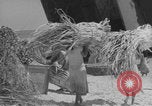 Image of Operation Crossroads Bikini Atoll Bikini Atoll Marshal Islands, 1946, second 46 stock footage video 65675080278