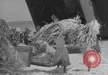 Image of Operation Crossroads Bikini Atoll Bikini Atoll Marshal Islands, 1946, second 47 stock footage video 65675080278
