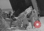 Image of Operation Crossroads Bikini Atoll Bikini Atoll Marshal Islands, 1946, second 48 stock footage video 65675080278
