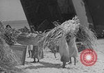 Image of Operation Crossroads Bikini Atoll Bikini Atoll Marshal Islands, 1946, second 49 stock footage video 65675080278