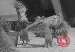 Image of Operation Crossroads Bikini Atoll Bikini Atoll Marshal Islands, 1946, second 50 stock footage video 65675080278