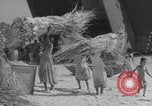 Image of Operation Crossroads Bikini Atoll Bikini Atoll Marshal Islands, 1946, second 51 stock footage video 65675080278