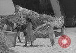 Image of Operation Crossroads Bikini Atoll Bikini Atoll Marshal Islands, 1946, second 53 stock footage video 65675080278