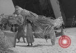 Image of Operation Crossroads Bikini Atoll Bikini Atoll Marshal Islands, 1946, second 54 stock footage video 65675080278