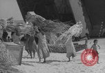 Image of Operation Crossroads Bikini Atoll Bikini Atoll Marshal Islands, 1946, second 55 stock footage video 65675080278