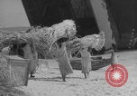 Image of Operation Crossroads Bikini Atoll Bikini Atoll Marshal Islands, 1946, second 57 stock footage video 65675080278
