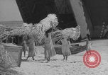 Image of Operation Crossroads Bikini Atoll Bikini Atoll Marshal Islands, 1946, second 58 stock footage video 65675080278