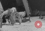 Image of Operation Crossroads Bikini Atoll Bikini Atoll Marshal Islands, 1946, second 59 stock footage video 65675080278
