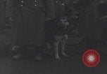Image chien de compagnie d'un prisonnier de guerre allemand Cologne, Allemagne, 1945, de la seconde 10 séquences d'archives historiques vidéo 65675080282