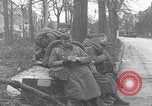 Image chien de compagnie d'un prisonnier de guerre allemand Cologne, Allemagne, 1945, de la seconde 16 séquences d'archives historiques vidéo 65675080282