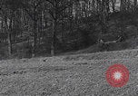 Image Armée américaine à Hallerbach Allemagne Hallerbach Allemagne, 1945, de la seconde 16 séquences d'archives historiques vidéo 65675080288