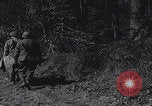 Image Armée américaine à Hallerbach Allemagne Hallerbach Allemagne, 1945, de la seconde 40 séquences d'archives historiques vidéo 65675080288