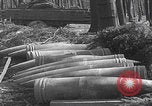 Image of abandoned German shells Kalenborn Germany, 1945, second 17 stock footage video 65675080290
